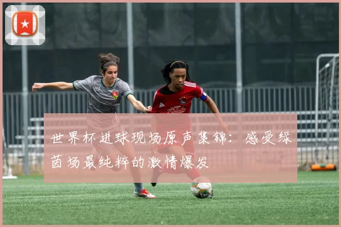 世界杯进球现场原声集锦:感受绿茵场最纯粹的激情爆发