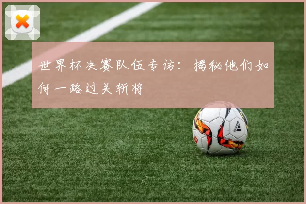 世界杯决赛队伍专访:揭秘他们如何一路过关斩将