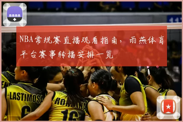 NBA常规赛直播观看指南,雨燕体育平台赛事转播安排一览