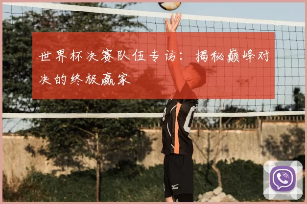 世界杯决赛队伍专访：揭秘巅峰对决的终极赢家