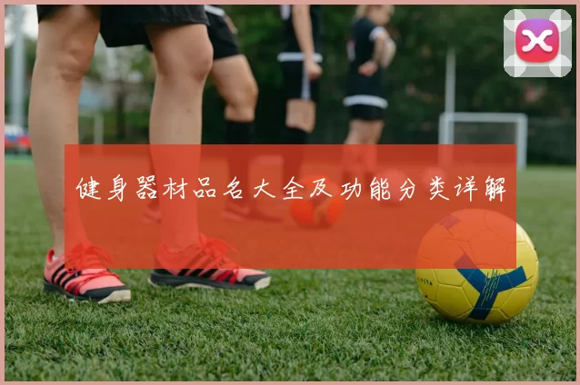 健身器材品名大全及功能分类详解