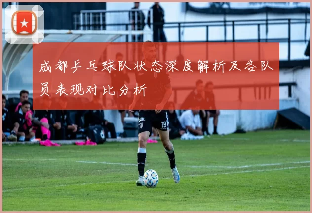 成都乒乓球队状态深度解析及各队员表现对比分析