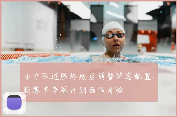 小牛队连胜终结后调整阵容配置,新赛季争冠计划面临考验