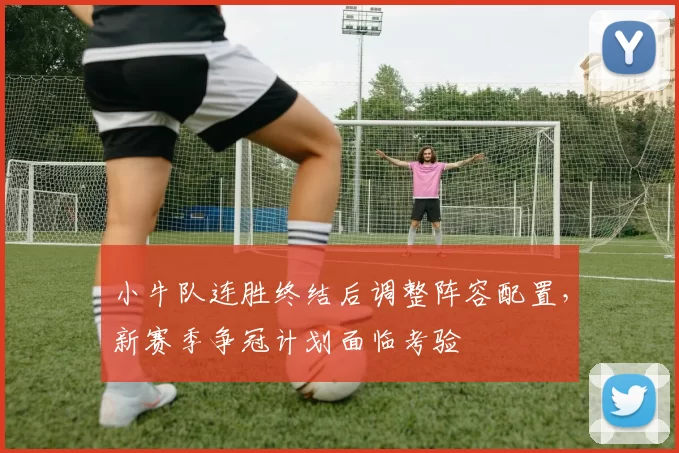 小牛队连胜终结后调整阵容配置,新赛季争冠计划面临考验