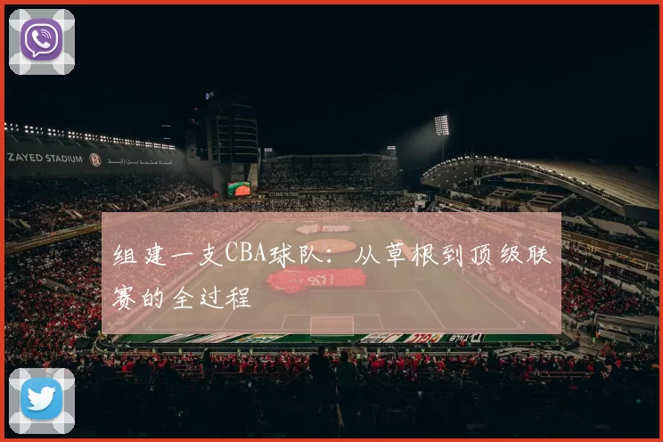 组建一支CBA球队：从草根到顶级联赛的全过程