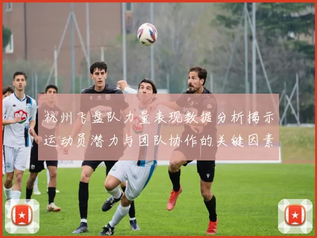 杭州飞盘队力量表现数据分析揭示运动员潜力与团队协作的关键因素