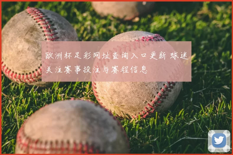 欧洲杯足彩网址查询入口更新 球迷关注赛事投注与赛程信息
