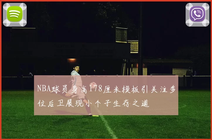 NBA球员身高178厘米模板引关注多位后卫展现小个子生存之道