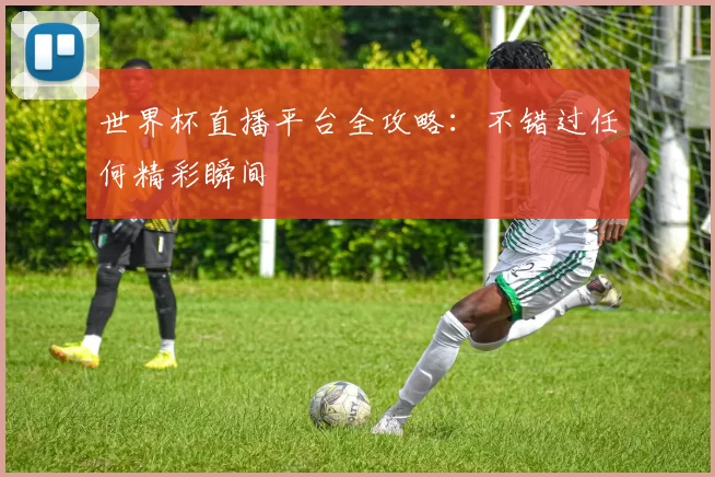世界杯直播平台全攻略:不错过任何精彩瞬间