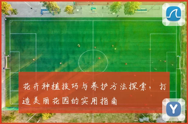 花卉种植技巧与养护方法探索，打造美丽花园的实用指南