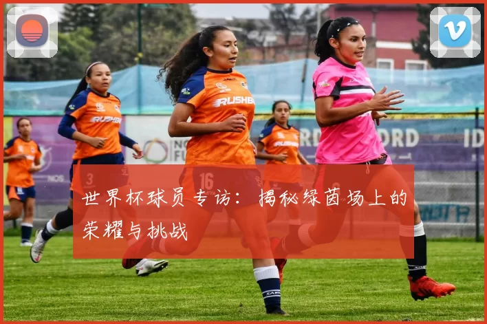 世界杯球员专访:揭秘绿茵场上的荣耀与挑战