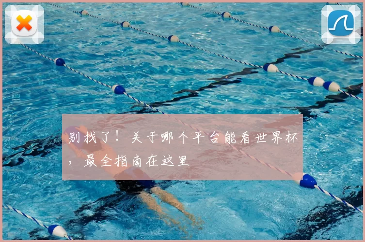 别找了！关于哪个平台能看世界杯，最全指南在这里