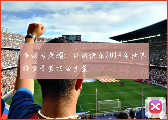 争议与荣耀:评诺伊尔2014年世界杯金手套的含金量