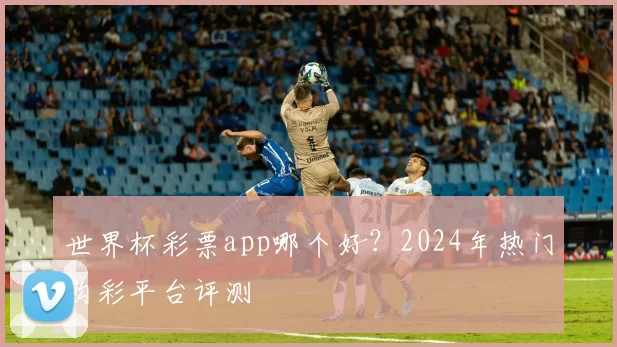 世界杯彩票app哪个好？2024年热门购彩平台评测
