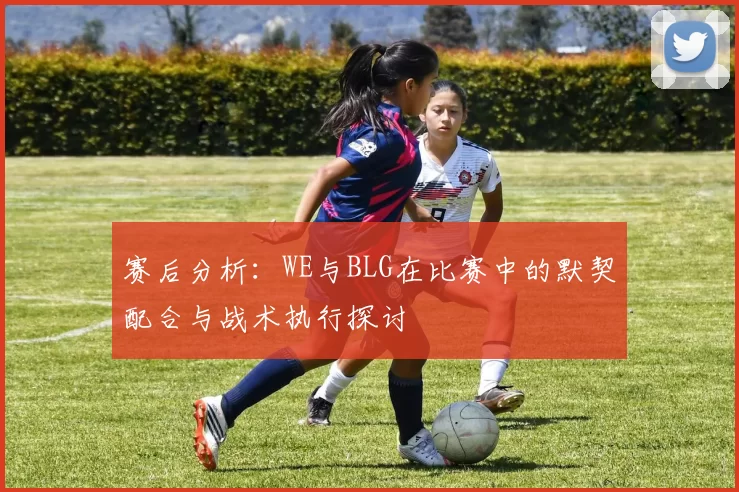 赛后分析：WE与BLG在比赛中的默契配合与战术执行探讨
