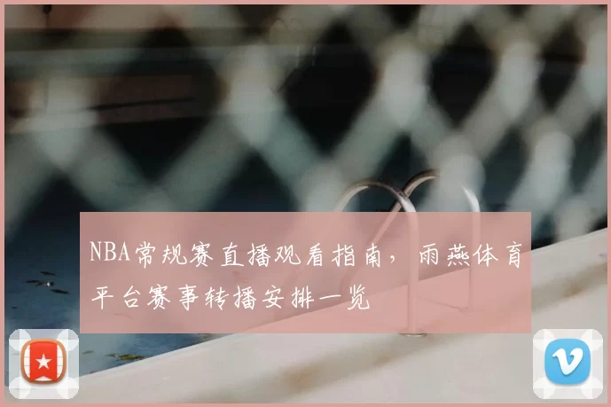 NBA常规赛直播观看指南,雨燕体育平台赛事转播安排一览