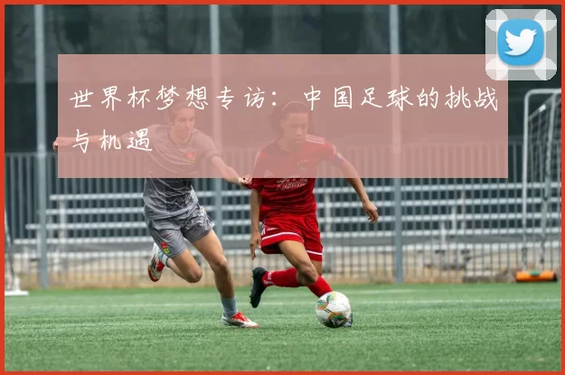 世界杯梦想专访:中国足球的挑战与机遇