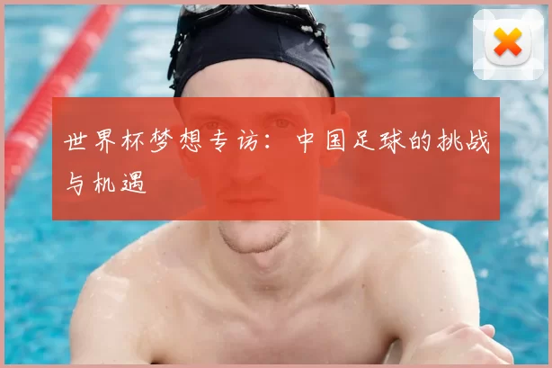 世界杯梦想专访：中国足球的挑战与机遇
