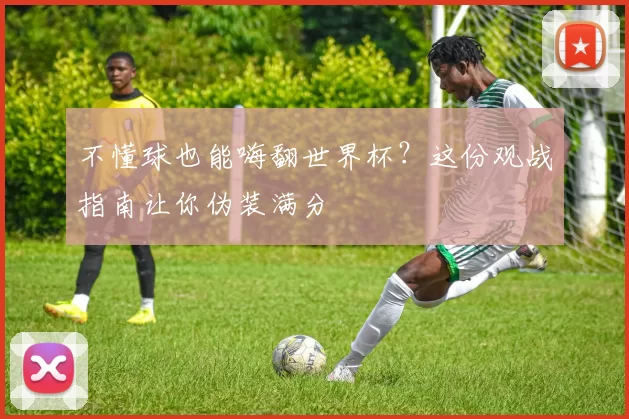 不懂球也能嗨翻世界杯?这份观战指南让你伪装满分