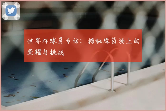世界杯球员专访:揭秘绿茵场上的荣耀与挑战