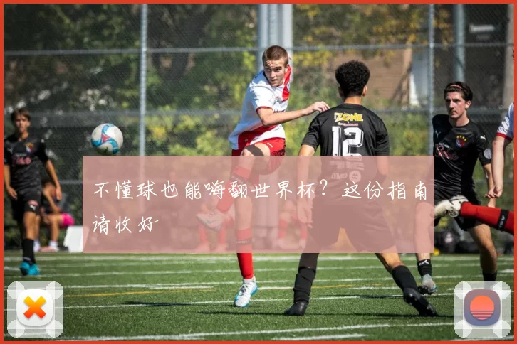 不懂球也能嗨翻世界杯?这份指南请收好