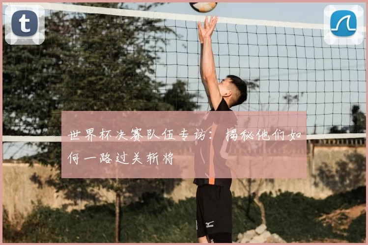 世界杯决赛队伍专访：揭秘他们如何一路过关斩将